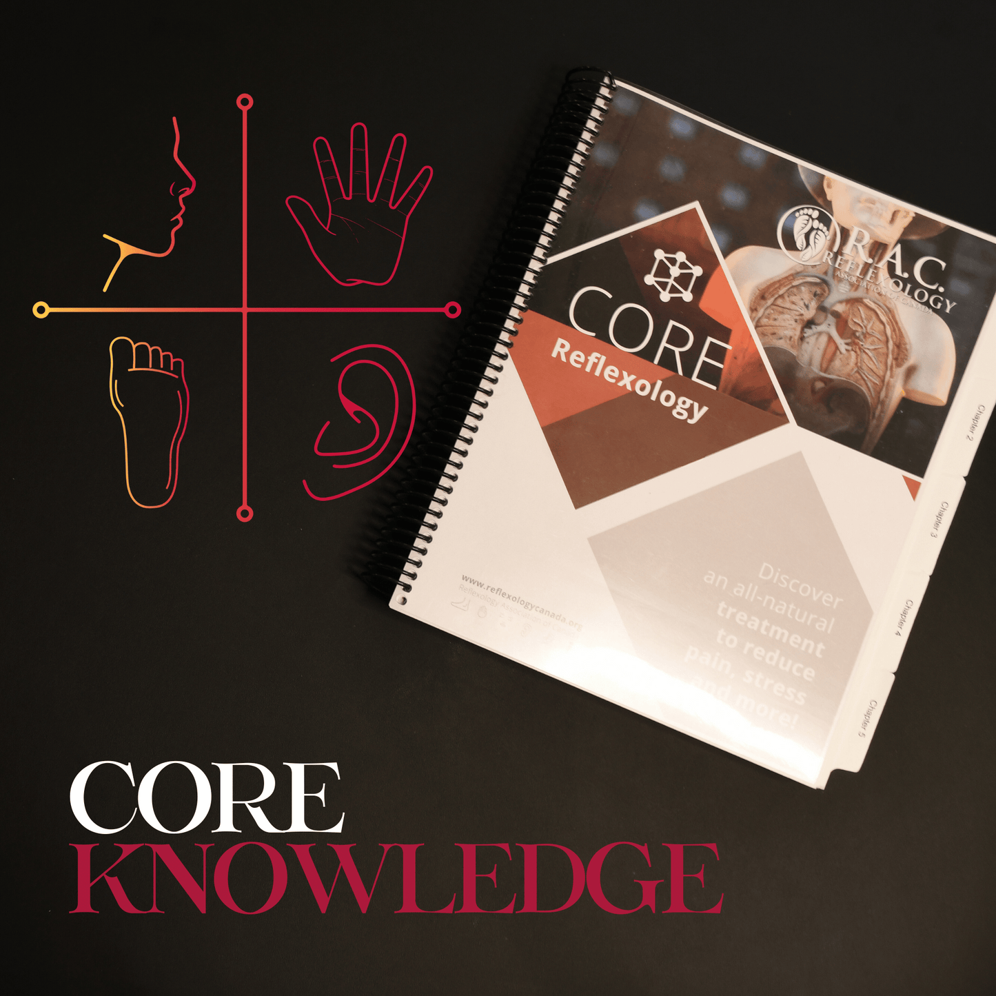 Core Knowledge Reflexology
