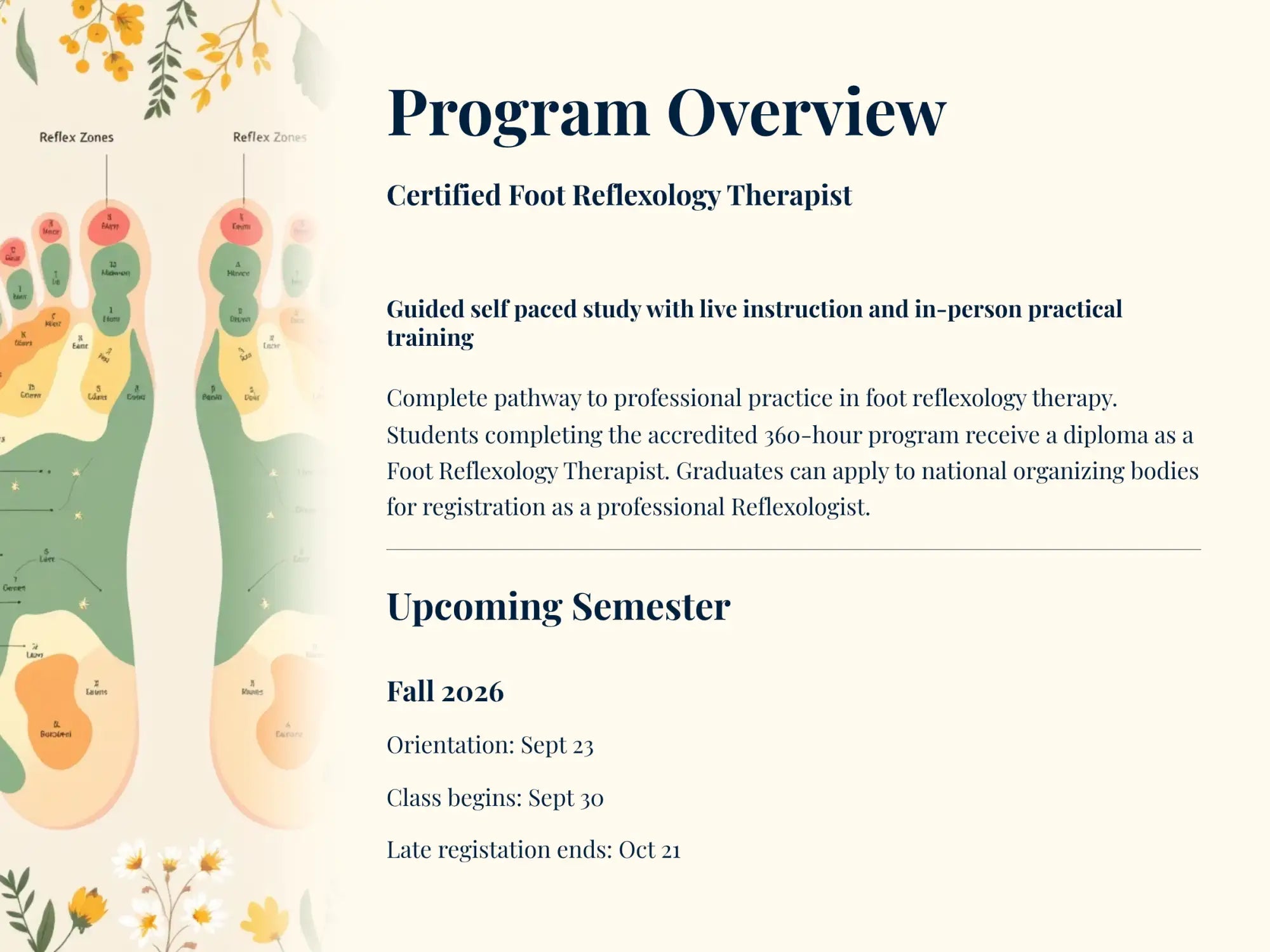Certified foot reflexology therapist program brochure featuring illustrated foot reflex zones on a soft cream background.