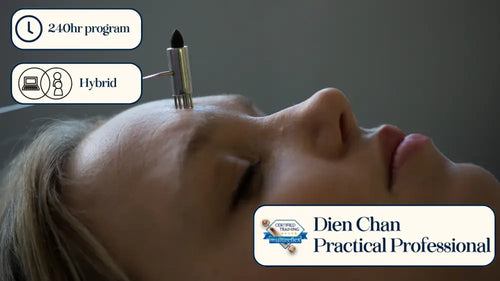 Gold Dien Chan Practical Pro acupuncture pen with black tip and silver body