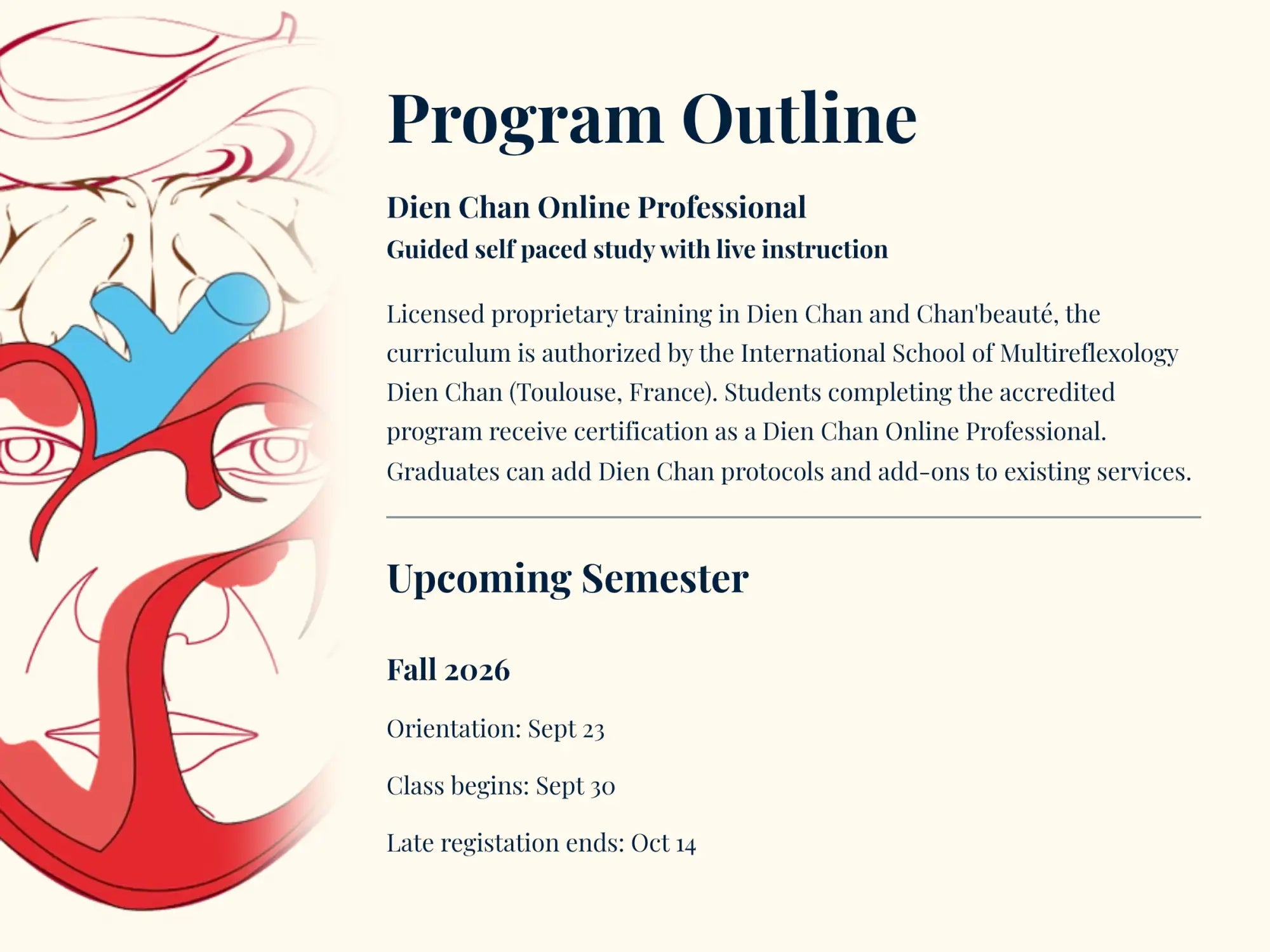 Program outline for dien chan online professional training, featuring a stylized red and blue anatomical illustration on the left.