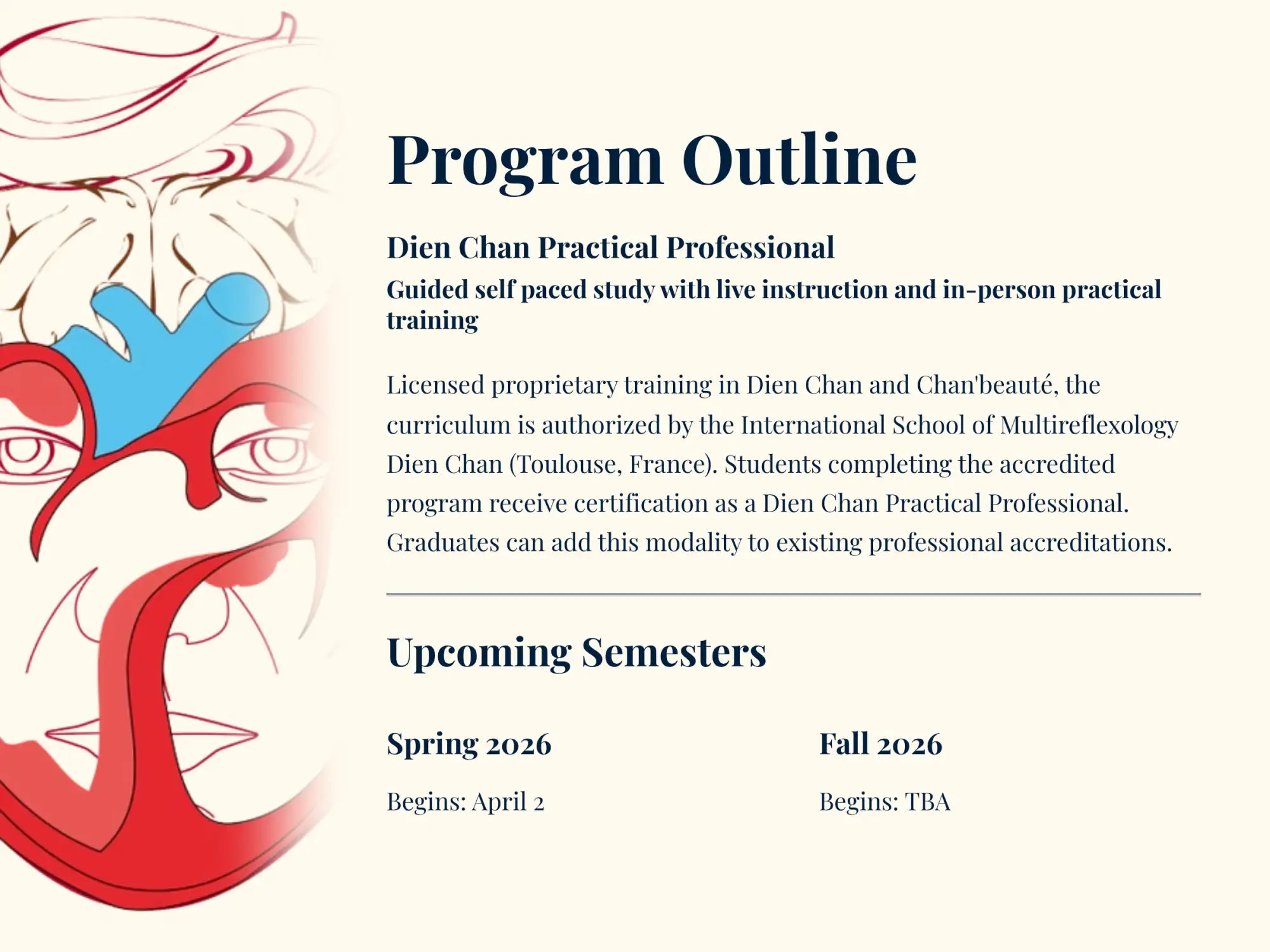 Program outline for the dien chan practical professional training, featuring a stylized red and blue illustration of an anatomical face.