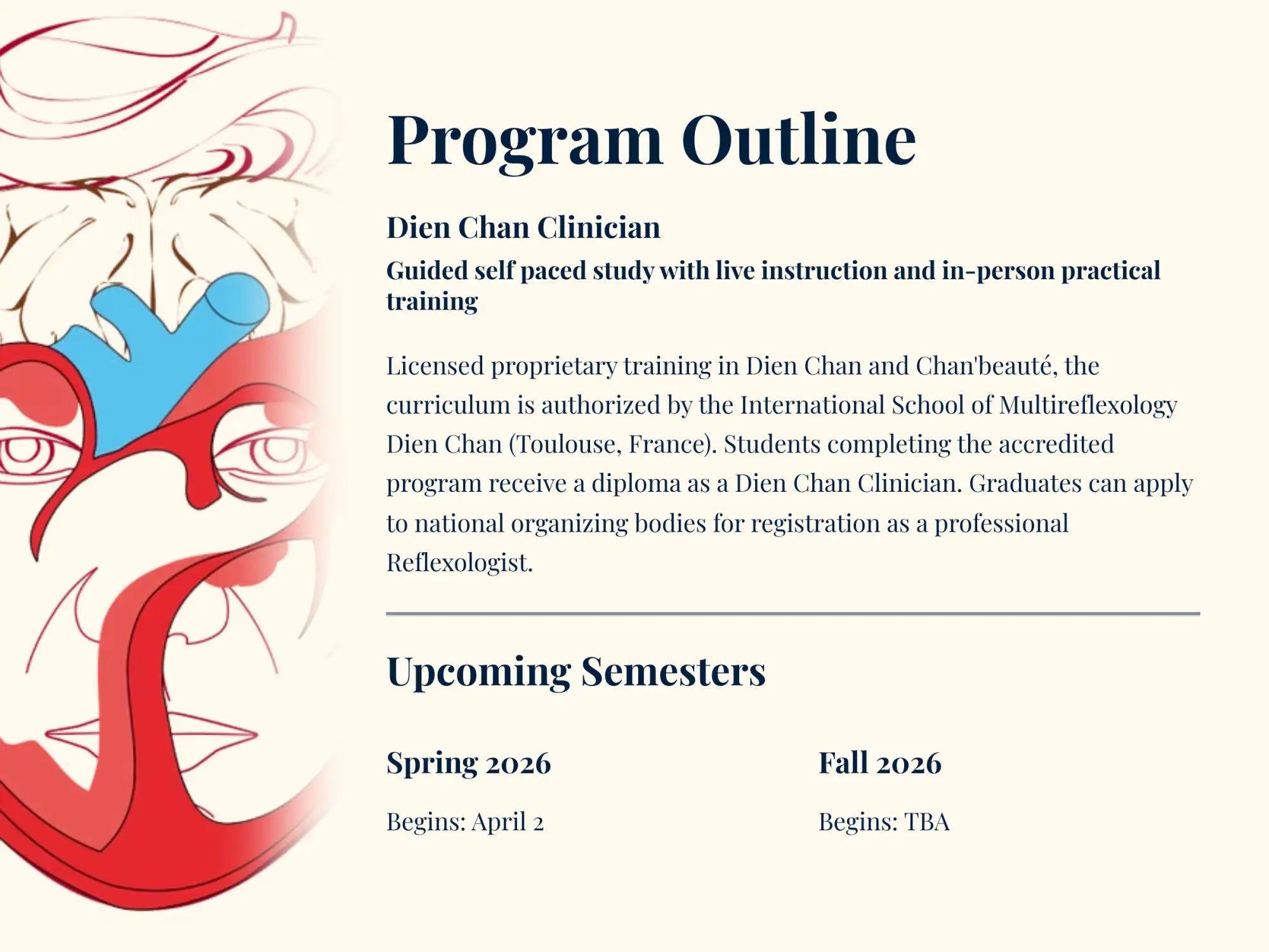 Program outline document for the dien chan clinician training program, featuring a stylized red and blue illustration of an anatomical face with visible veins.