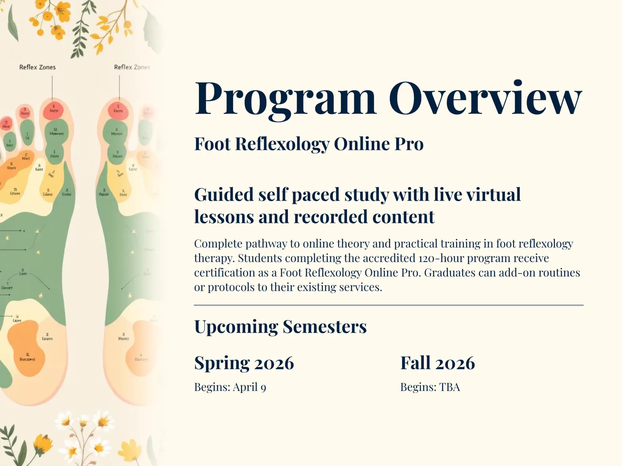 Learn foot reflexology online - certified training