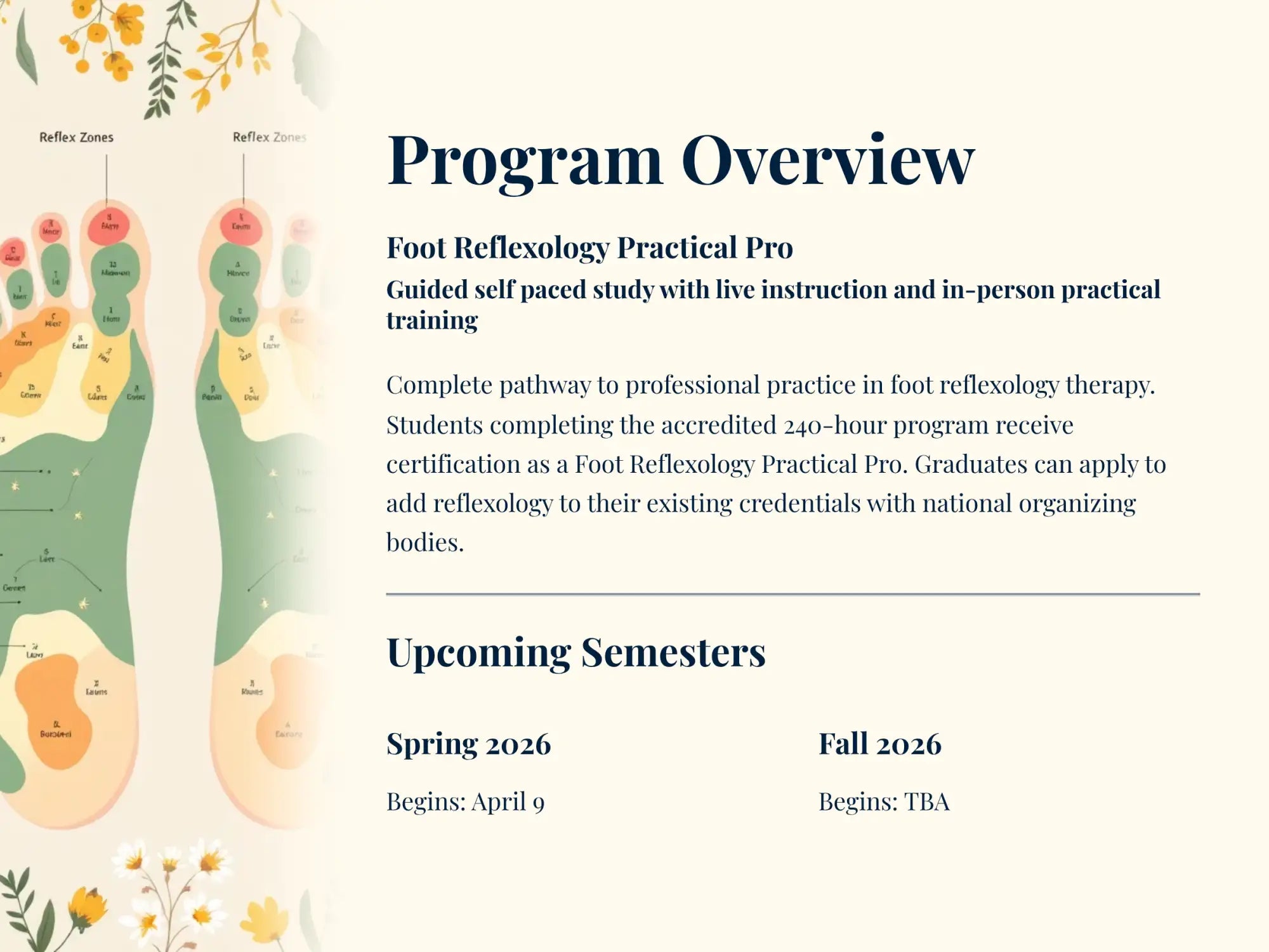 Program overview flyer for the foot reflexology practical pro certification program.