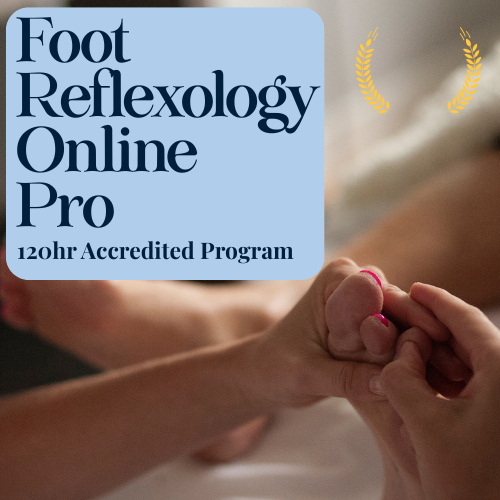 Foot Reflexology Online Pro