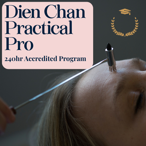 Dien Chan Practical Pro