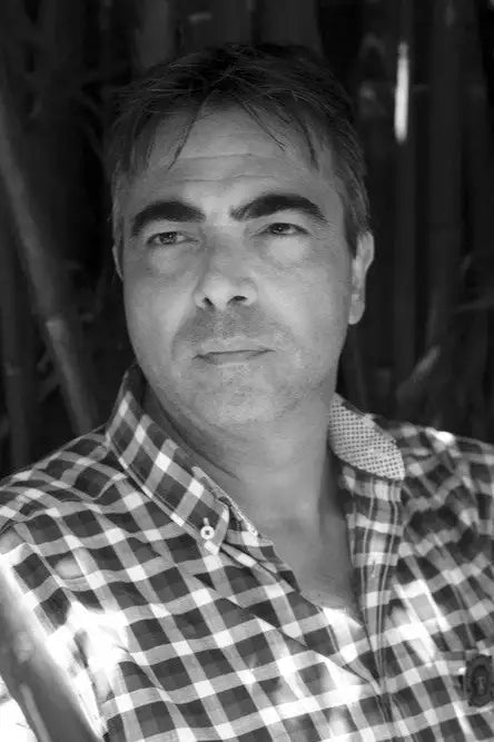 Checkered shirt with button-down collar and pocket detail.