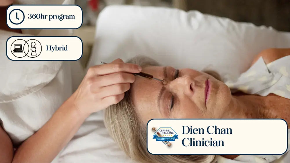 360hr Program Hybrid Brow Pencil in Dien Chan Clinician