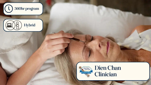 360hr Program Hybrid Brow Pencil in Dien Chan Clinician