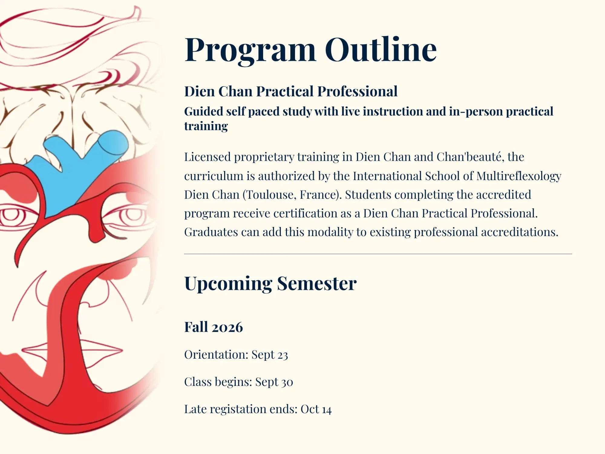 The image displays a program outline for the dien chan practical professional training, featuring an illustrated graphic of a stylized face with red and blue anatomical elements.