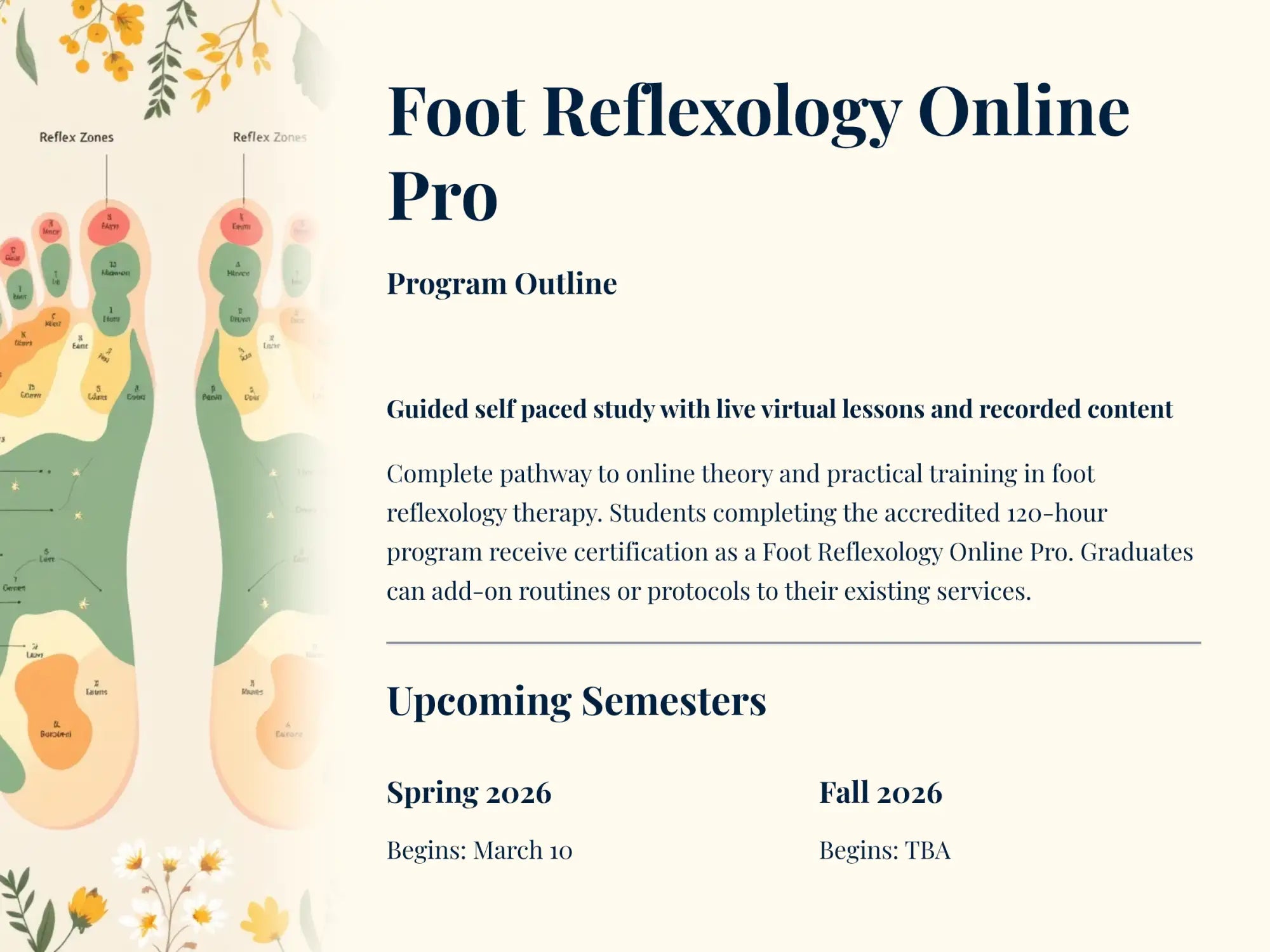 Foot reflexology online pro program brochure featuring illustrated foot reflex zones in soft green, peach, and orange tones with floral accents.