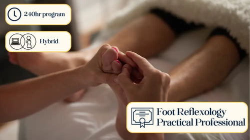 Foot Reflexology Practical Pro course material display