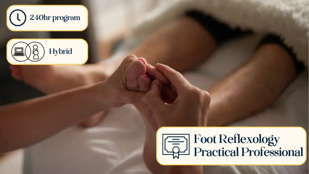 Foot Reflexology Practical Pro course material display