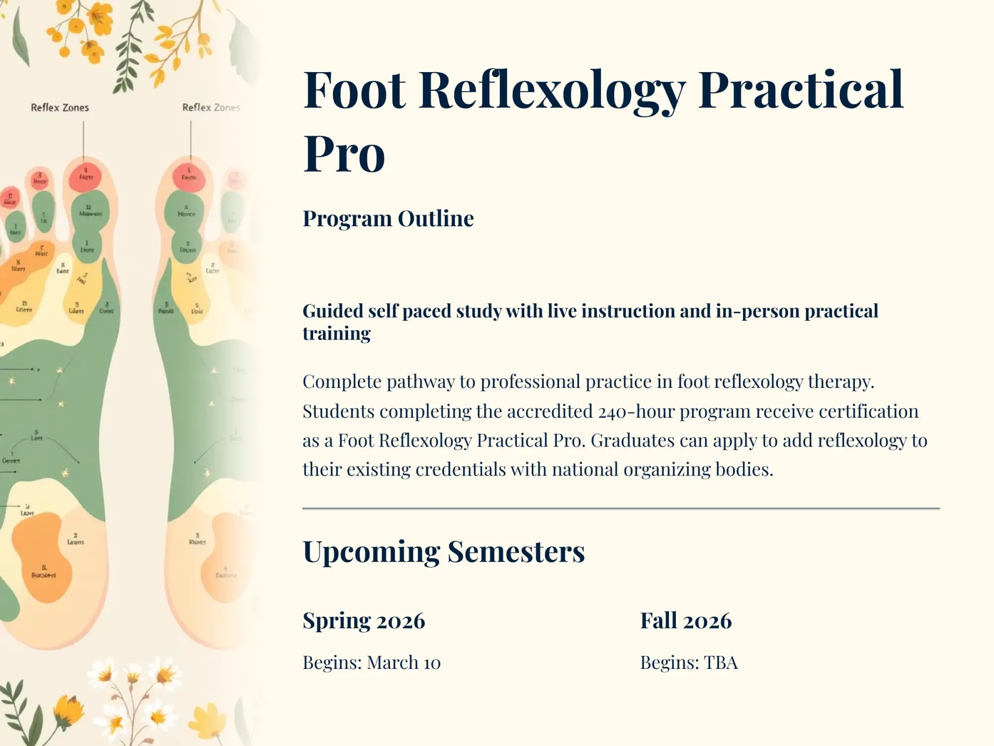 Foot reflexology practical pro program outline featuring illustrated foot reflex zones in soft green, peach, and orange tones on a cream background.