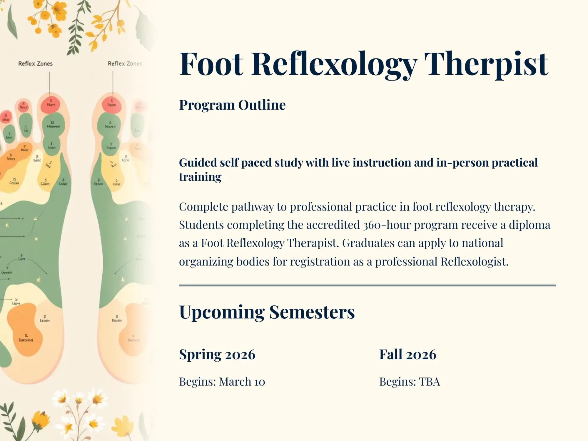 Foot reflexology therapist program brochure featuring illustrated foot maps with colored zones and text detailing a 360-hour accredited course.