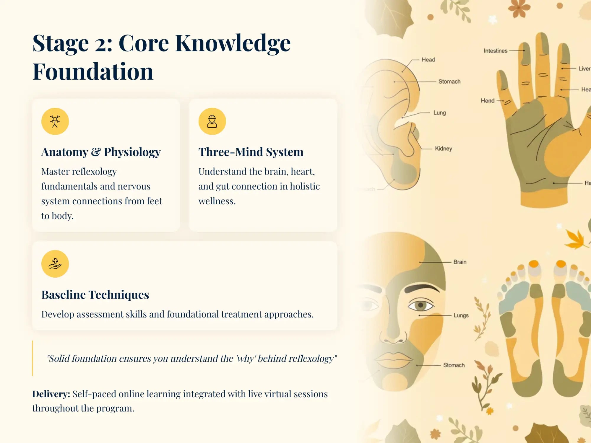 Illustrated anatomical diagram with labeled organs and body parts in soft earth tones on a cream background