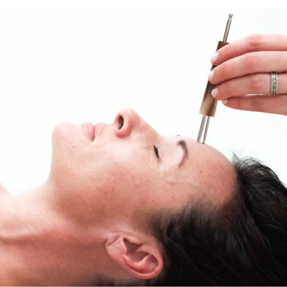 Comet Detector nº133: Wooden-handled metallic prong facial tool on forehead