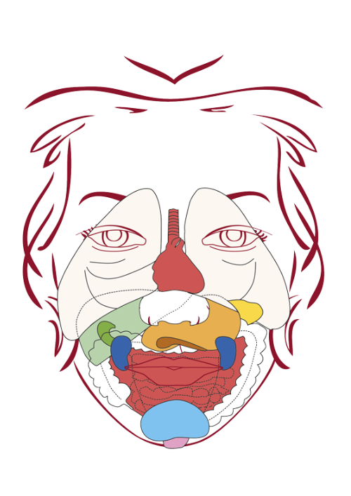 Dien Chan Internal Organs diagram for treating organ imbalances and reactivating energy flow through facial reflexology