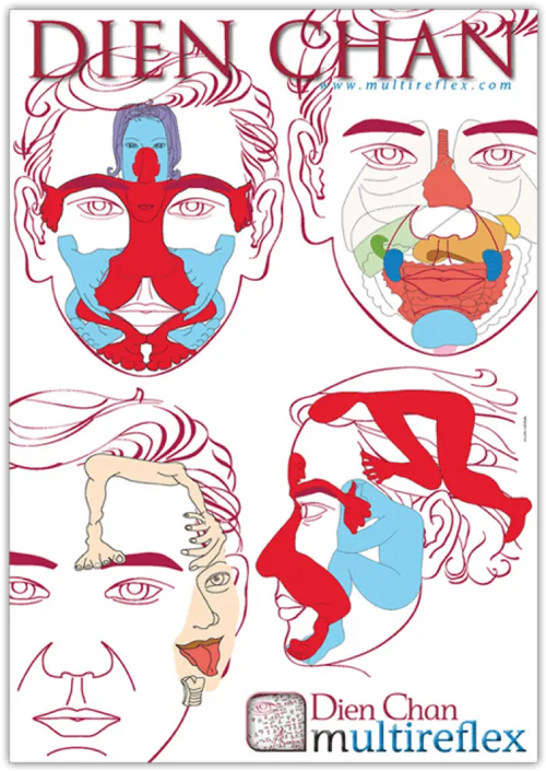 Dien Chan Multireflex Face Chart Poster Set of 3
