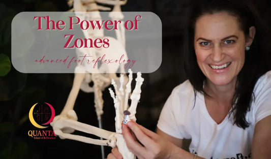 Detailed hand bone model with articulated joints for The Power of Zones Advance Foot Reflexology