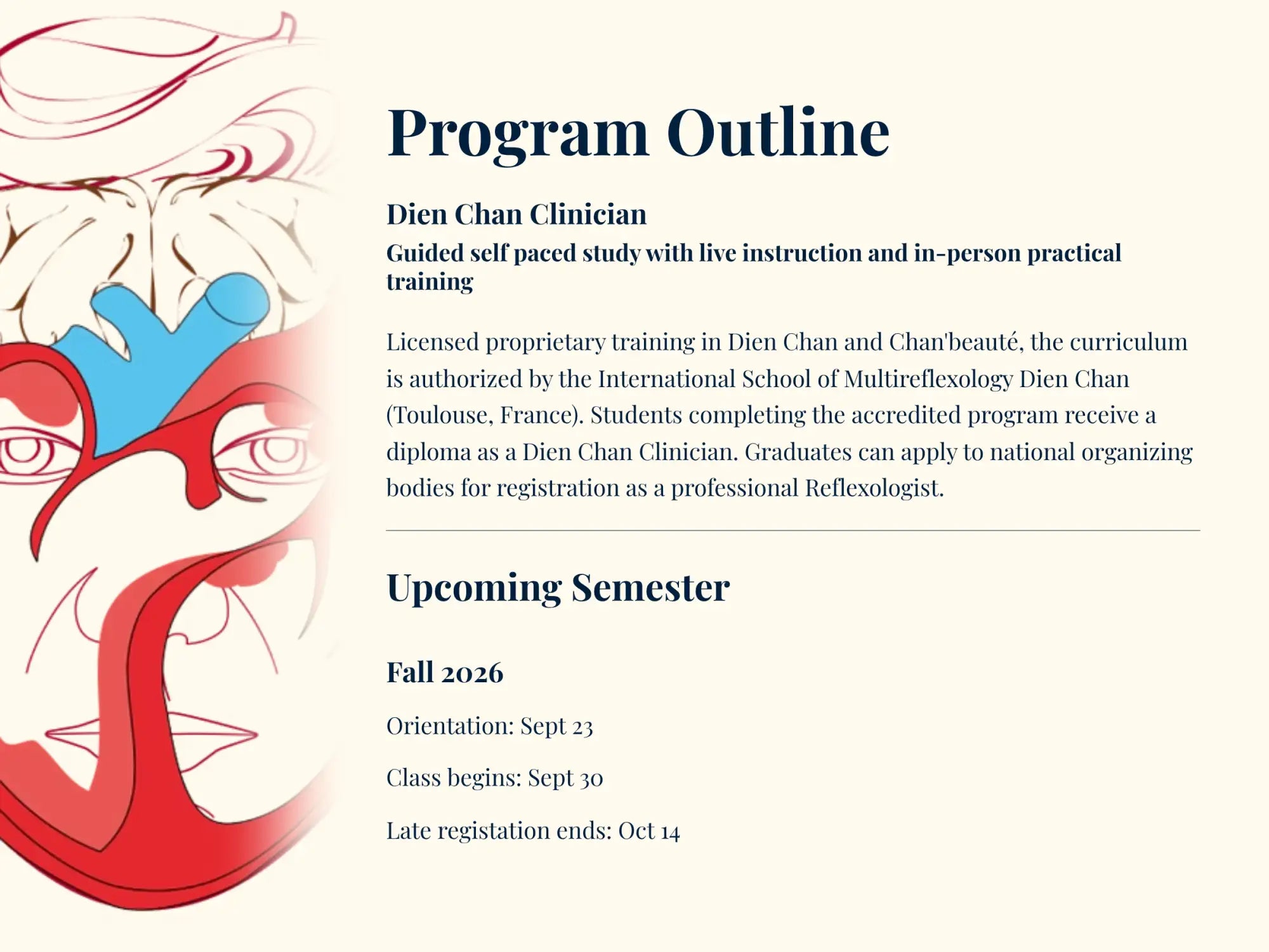 Program outline for the dien chan clinician training, featuring a stylized illustration of a face with red and blue anatomical elements.