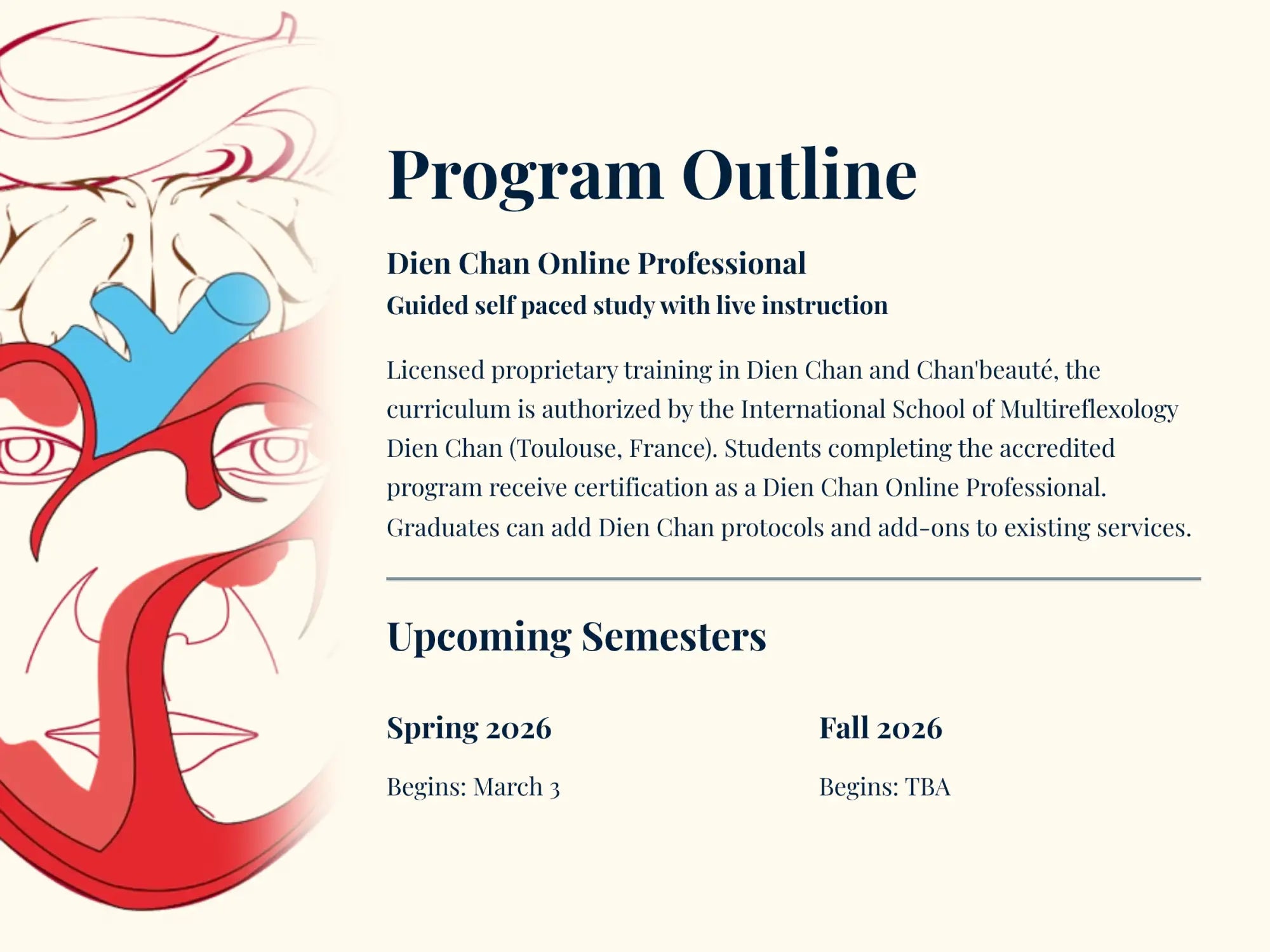 Program outline for dien chan online professional guided self paced study with live instruction, featuring a stylized red and blue illustration of an anatomical face.