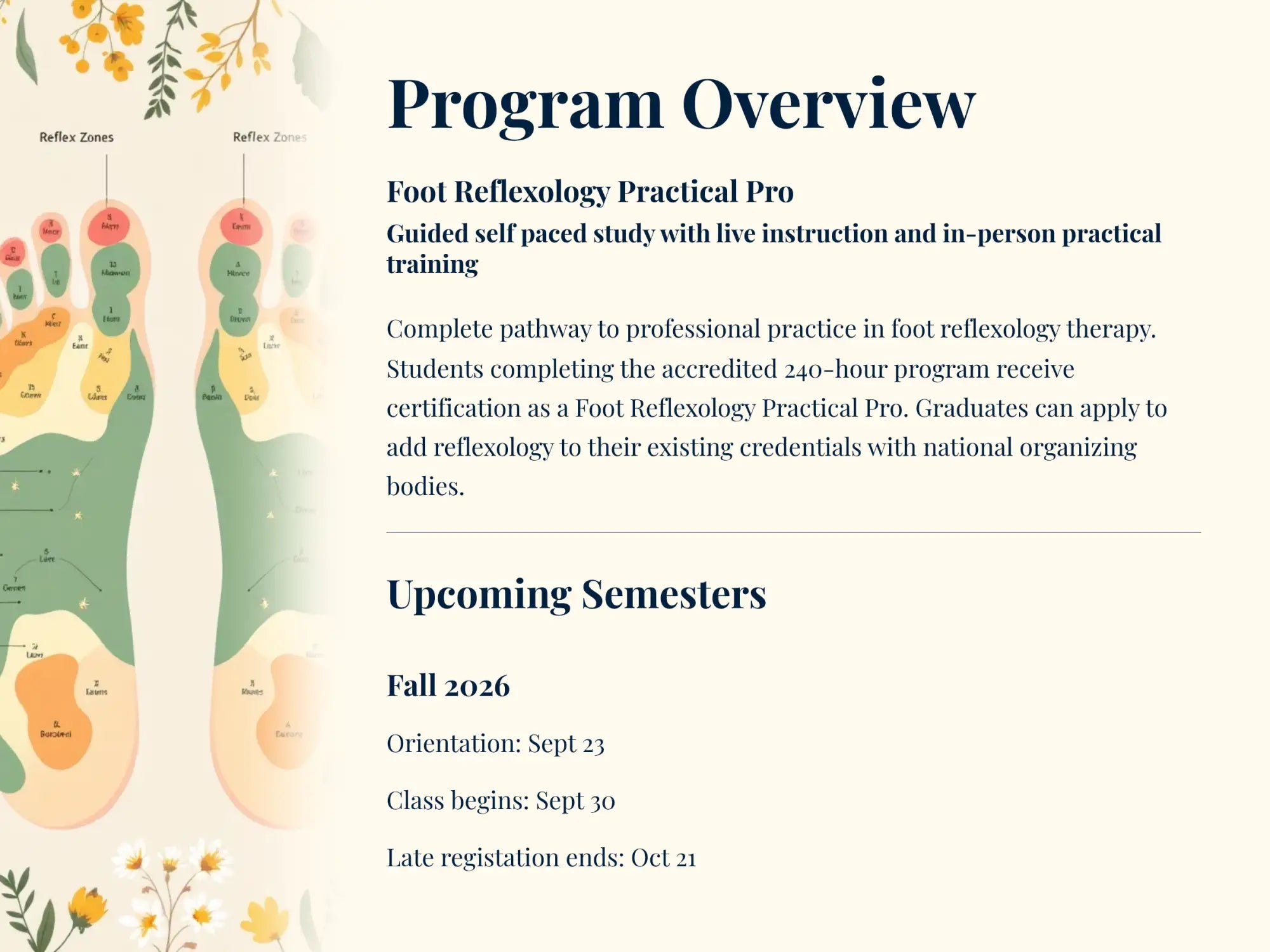 Program overview flyer for the foot reflexology practical pro certification program.
