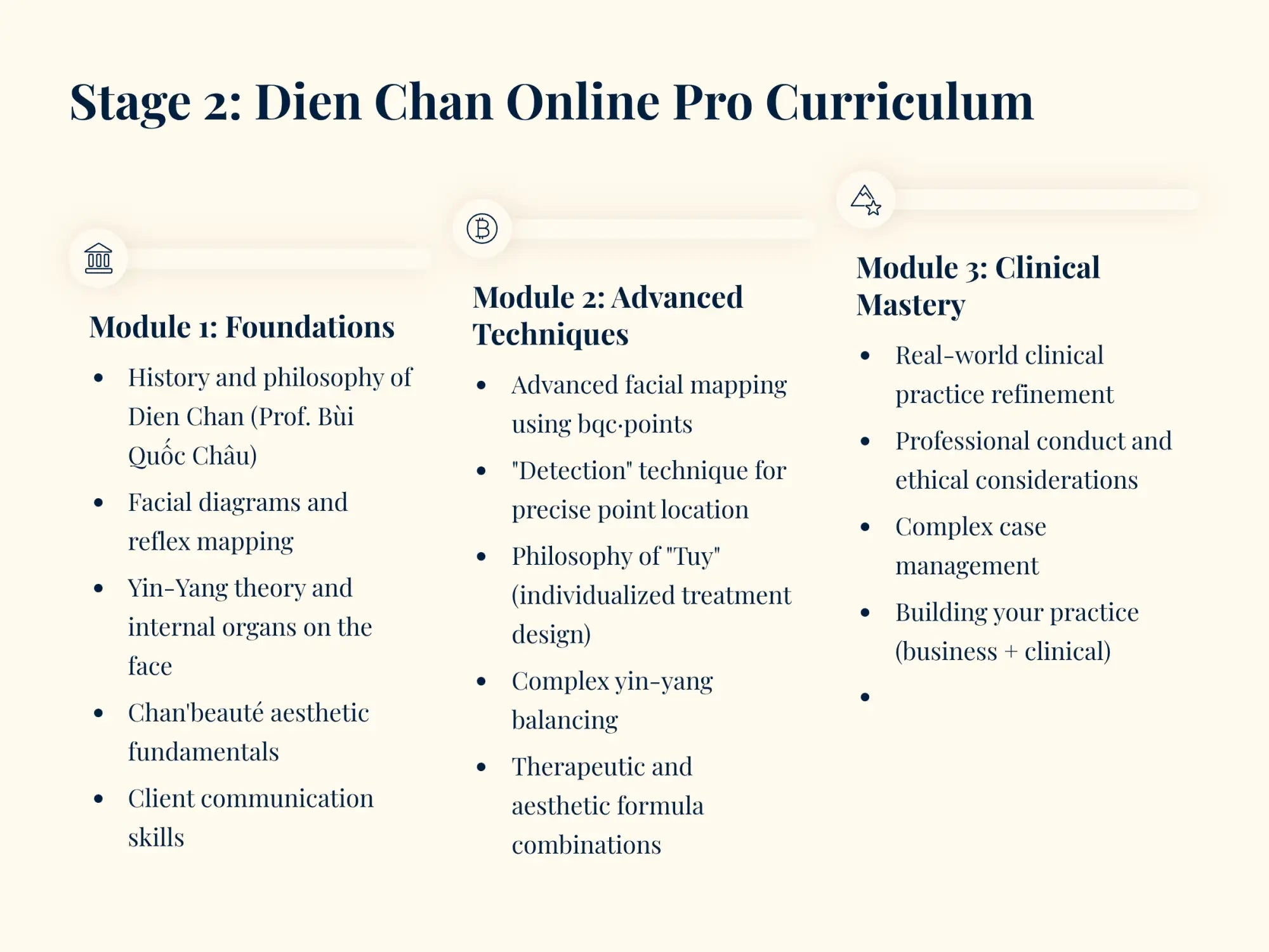 Stage 2: dien chan online pro curriculum course outline with three modules detailing foundational, advanced techniques, and clinical mastery topics.