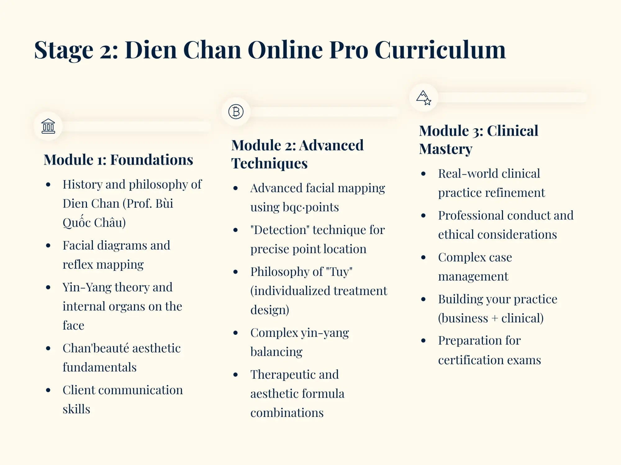 Stage 2: dien chan online pro curriculum course outline with three modules detailing foundational, advanced techniques, and clinical mastery topics.