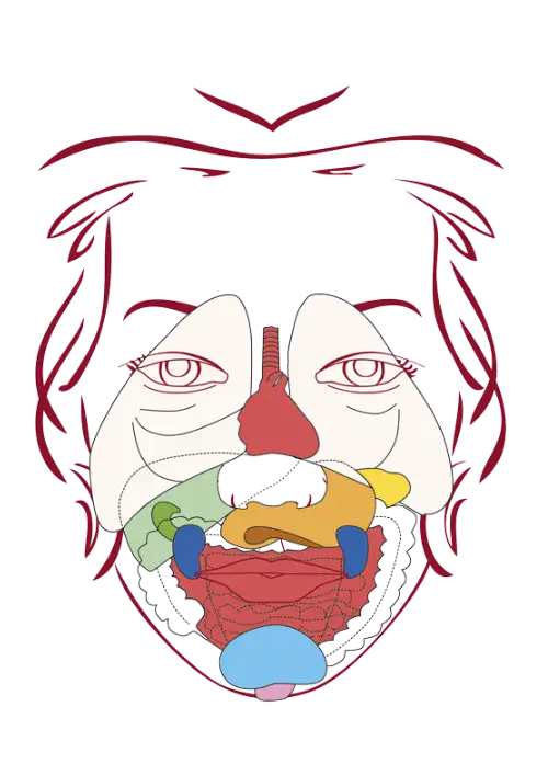 Dien Chan Internal Organs diagram for treating organ imbalances and reactivating energy flow through facial reflexology